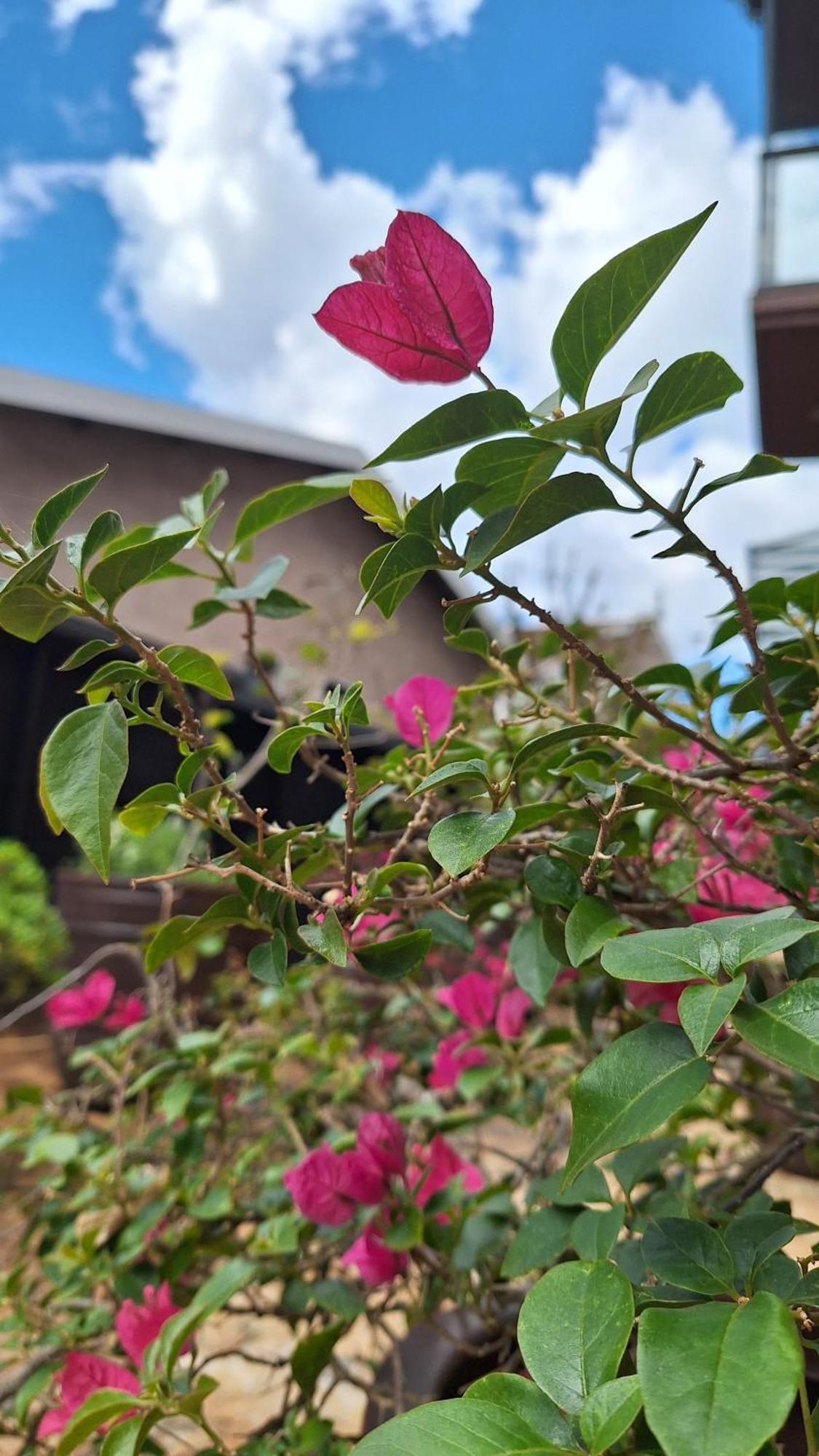 Nosso Loft Encantador Em Campos Do Jordao Dış mekan fotoğraf